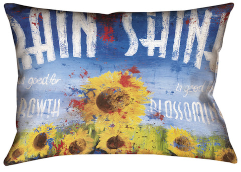 "Rain & Shine" Outdoor Throw Pillow