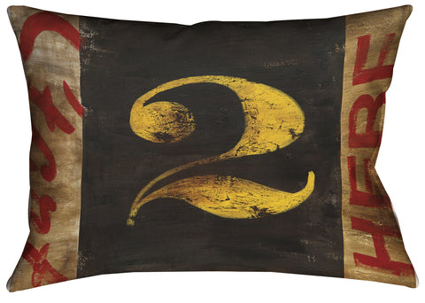 "Humble Beginnings" Outdoor Throw Pillow