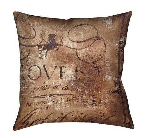 "Emotional Dichotmy" Outdoor Throw Pillow