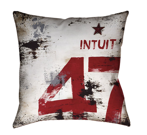 "Skillset Of An Elevated Mind: Intuit" Outdoor Throw Pillow
